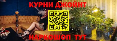 молекула духа Будённовск