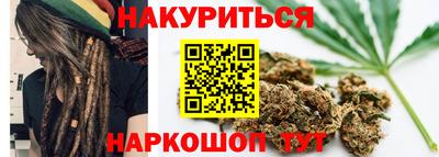 молекула духа Будённовск