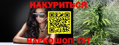 молекула духа Будённовск