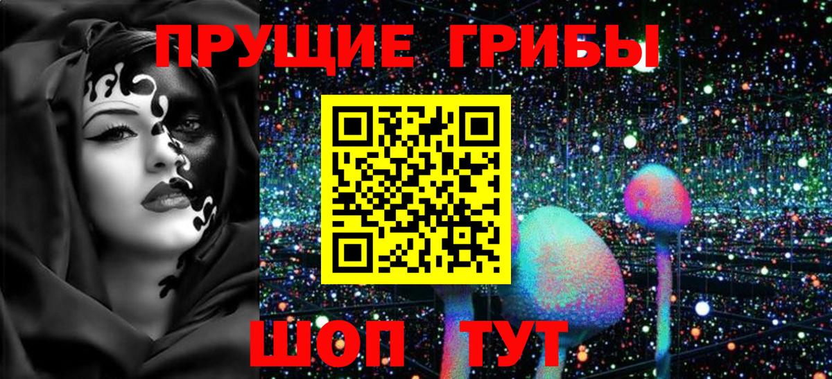 Галлюциногенные грибы Psilocybe  Вход с VPN  Псилоцибиновые грибы Cubensis  Салехард 